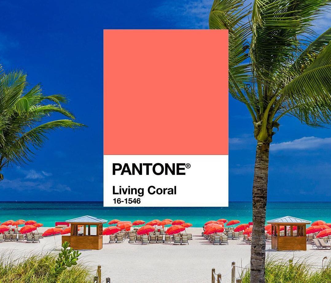 Living Coral: Γιατί η Pantone διάλεξε αυτή την απόχρωση ως το «χρώμα της χρονιάς για το 2019»