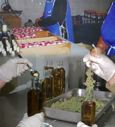 Ανακαλύψαμε τα secrets της... Seacrets of Greece!