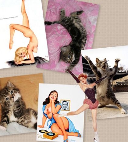 Όταν οι γατούλες ποζάρουν σαν αυθεντικά pin-up girls! (απίστευτες φωτο)