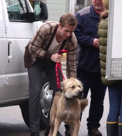 Ο Ryan Gosling ξανά ήρωας: Αυτή τη φορά θέλει να σώσει τα γουρούνια