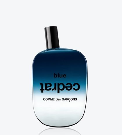 Comme des Garcons: Blue Invasion