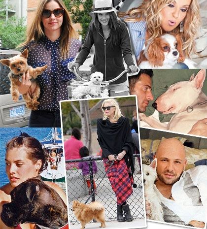 Οι celebrities και τα λατρεμένα σκυλάκια τους!