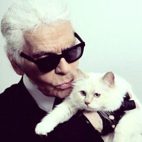 Κι όμως είναι αλήθεια: Η γάτα του Karl Lagerfeld βγάζει περισσότερα χρήματα από εσένα!