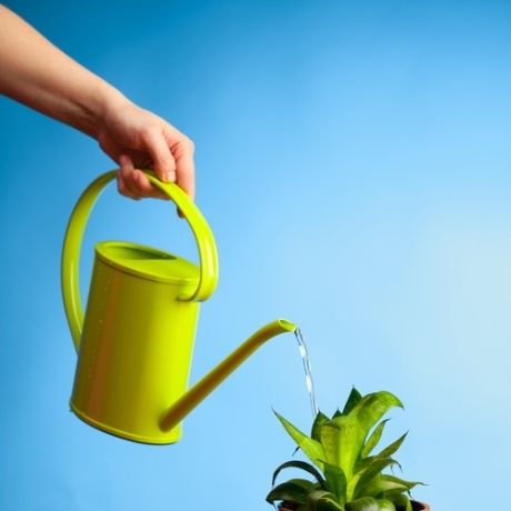 Tips για εξοικονόμηση νερού και… χρημάτων!