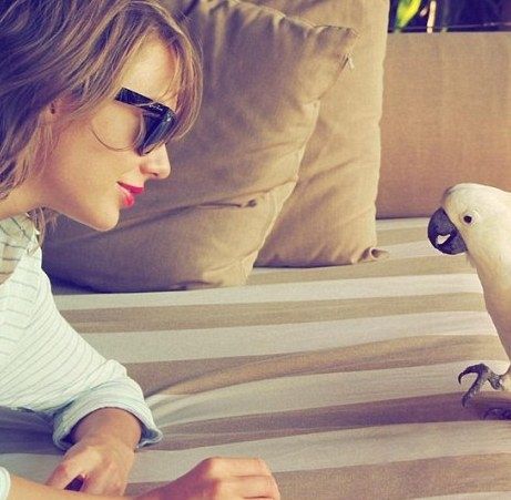 Η Taylor Swift κερδίζει το βραβείο της καλύτερης αδερφής & συνεργάτιδας