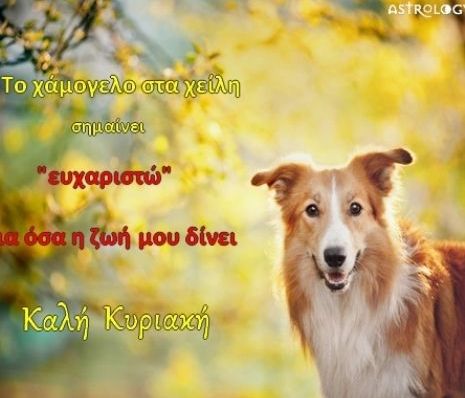 Τι λένε τα άστρα σήμερα, 8/9;