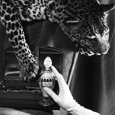 Υπήρξε πράγματι η Miss Dior;