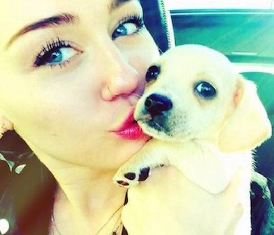 Η Miley Cyrus έχει καινούργιο κατοικίδιο και είναι γλύκα