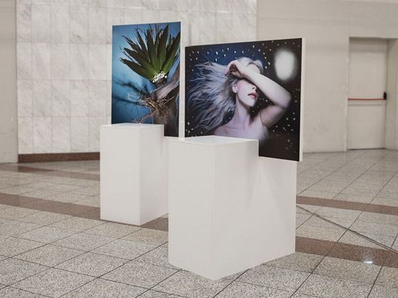 THE ARTPIT COLLECTION BY DOVE: Μια έκθεση φωτογραφίας που δείχνει ότι η ομορφιά κρύβεται παντού