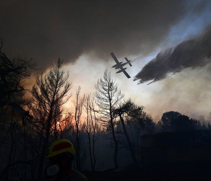 Εκκενώθηκε το καταφύγιο ζώων της Κατρίνας Τσάνταλη: Η συνδρομή Αναγνωστόπουλου, Ζαρίφη, Ράμμου