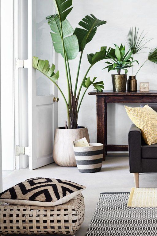 Patterned plants ή αλλιώς ο νέος τρόπος να ανανεώσεις το σπίτι σου