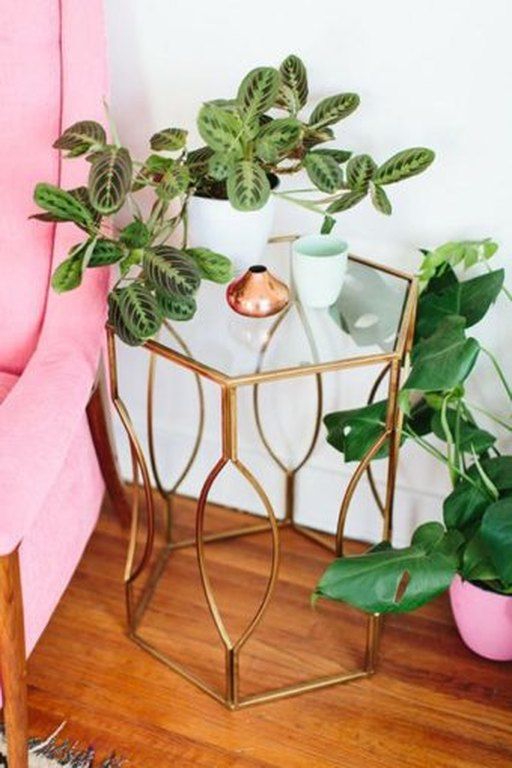 Patterned plants ή αλλιώς ο νέος τρόπος να ανανεώσεις το σπίτι σου