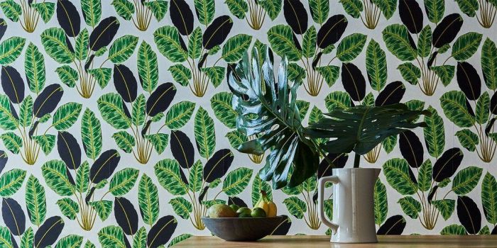 Patterned plants ή αλλιώς ο νέος τρόπος να ανανεώσεις το σπίτι σου