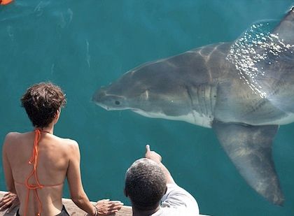 Ποια διάσημη ηθοποιός ήρθε πρόσωπο με πρόσωπο με καρχαρία;