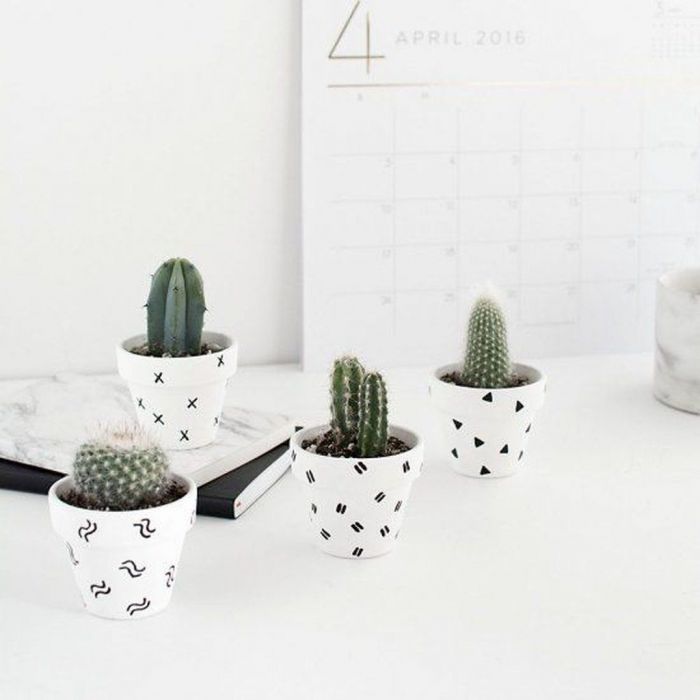 Patterned plants ή αλλιώς ο νέος τρόπος να ανανεώσεις το σπίτι σου
