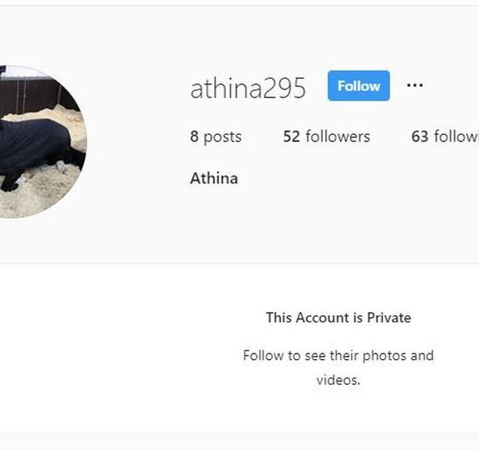 Ο λογαριασμός της Ωνάση στο Instagram είναι ιδιωτικός και η κληρονόμος ακολουθεί 63 άτομα και έχει 52 followers ενώ η κεντρική της φωτογραφία δείχνει το αγαπημένο της άλογο.
