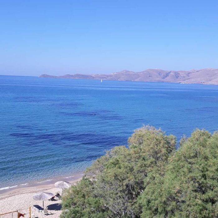Η μαμά του Παντζόπουλου ανέβασε φώτο αλλά όλοι είδαν το σχόλιο της Μενεγάκη
