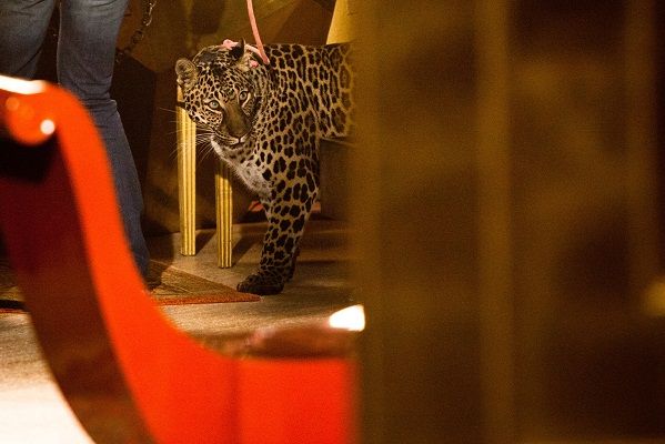 Δείτε backstage φωτογραφίες από το ακυκλοφόρητο διαφημιστικό του Opium