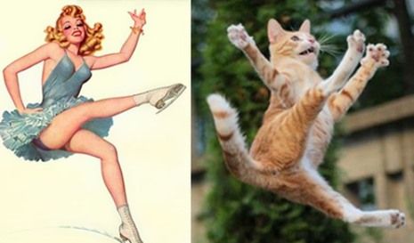 Όταν οι γατούλες ποζάρουν σαν αυθεντικά pin-up girls! (απίστευτες φωτο)