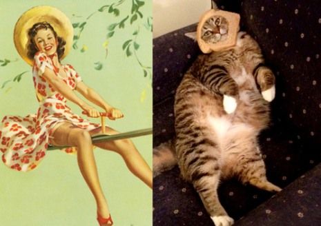 Όταν οι γατούλες ποζάρουν σαν αυθεντικά pin-up girls! (απίστευτες φωτο)