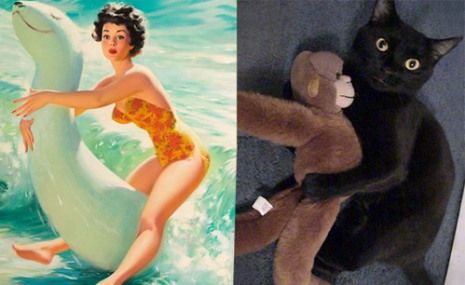 Όταν οι γατούλες ποζάρουν σαν αυθεντικά pin-up girls! (απίστευτες φωτο)