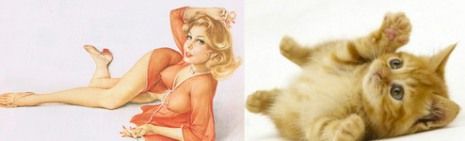 Όταν οι γατούλες ποζάρουν σαν αυθεντικά pin-up girls! (απίστευτες φωτο)