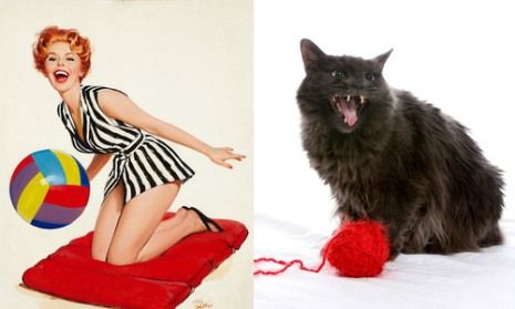 Όταν οι γατούλες ποζάρουν σαν αυθεντικά pin-up girls! (απίστευτες φωτο)