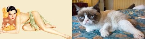 Όταν οι γατούλες ποζάρουν σαν αυθεντικά pin-up girls! (απίστευτες φωτο)