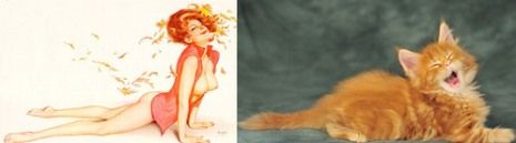 Όταν οι γατούλες ποζάρουν σαν αυθεντικά pin-up girls! (απίστευτες φωτο)