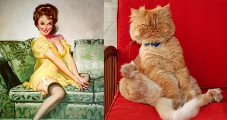 Όταν οι γατούλες ποζάρουν σαν αυθεντικά pin-up girls! (απίστευτες φωτο)
