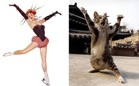 Όταν οι γατούλες ποζάρουν σαν αυθεντικά pin-up girls! (απίστευτες φωτο)