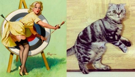 Όταν οι γατούλες ποζάρουν σαν αυθεντικά pin-up girls! (απίστευτες φωτο)