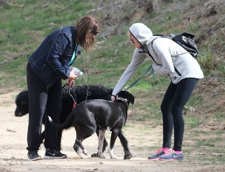 «Πείτε με λεσβία, αλλά όχι κι άσχημη»! Σε ποια star ανήκει η δήλωση αυτή;