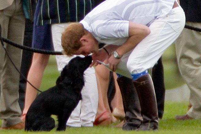 Η ευαίσθητη πλευρά της Kate Middleton: Το χριστουγεννιάτικο δώρο της στον πρίγκιπα Harry!