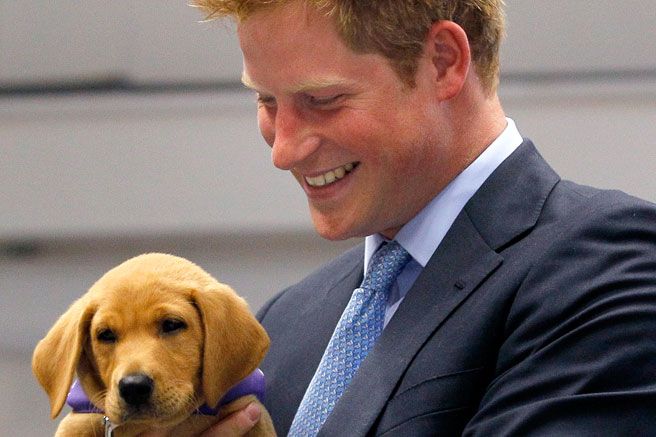 Η ευαίσθητη πλευρά της Kate Middleton: Το χριστουγεννιάτικο δώρο της στον πρίγκιπα Harry!