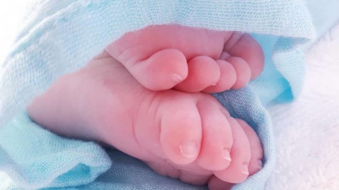 Το σημάδι στο πρόσωπο της Δούκισσας Νομικού και η αποκάλυψη που έκανε
