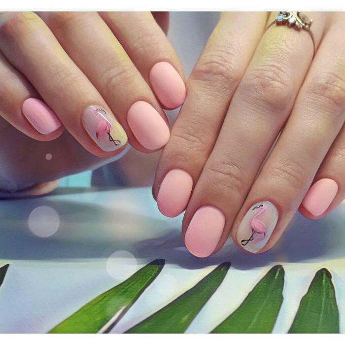 Pink flamingos!