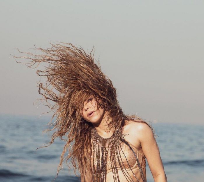 Η Shakira εντυπωσιάζει με τις χορευτικές -και όχι μόνο- ικανότητές της κι έχει καταφέρει να έχει εκατομμύρια κόσμο ανάμεσα στους φανς της.