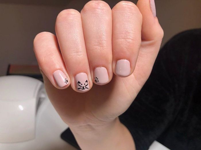 @koto_koromstudio