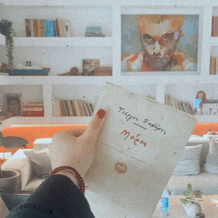 Το σπίτι διαθέτει μία αρκετά μοντέρνα βιβλιοθήκη με πίνακες, βιβλία ακόμη και φυτά