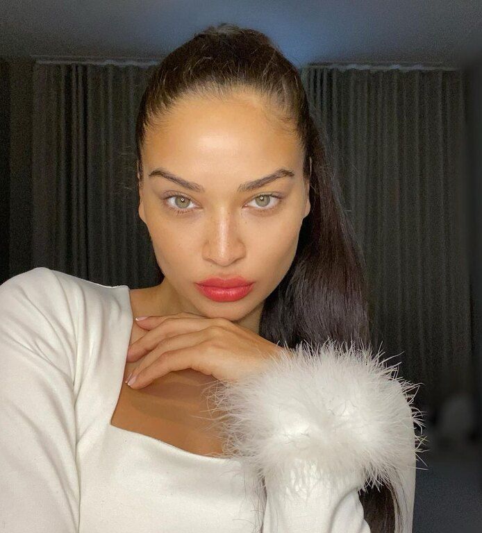 @shaninamshaik