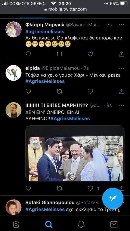 Άγριες Μέλισσες: Βούρκωσε όλο το Twitter με το χθεσινό επεισόδιο