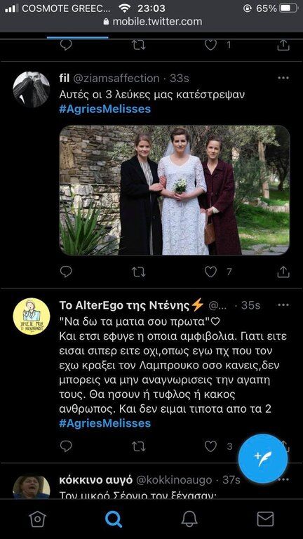 Άγριες Μέλισσες: Βούρκωσε όλο το Twitter με το χθεσινό επεισόδιο