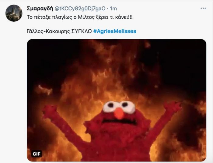 Άγριες Μέλισσες: 15 tweets που αποθέωσαν τη σκηνή Δούκα-Μιλτιάδη