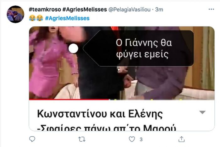 Άγριες Μέλισσες: «Απών» ο Κωνσταντής στον 3ο κύκλο και το Twitter είναι έξαλλο (pics)