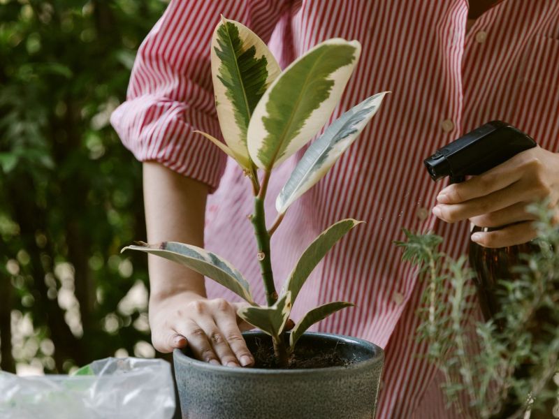 Με αυτό το DIY εντομοκτόνο θα απαλλαγείς μια για πάντα από τα ενοχλητικά ζωύφια στον κήπο σου