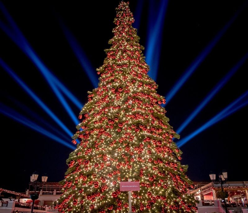 It’s the most wonderful time of the year