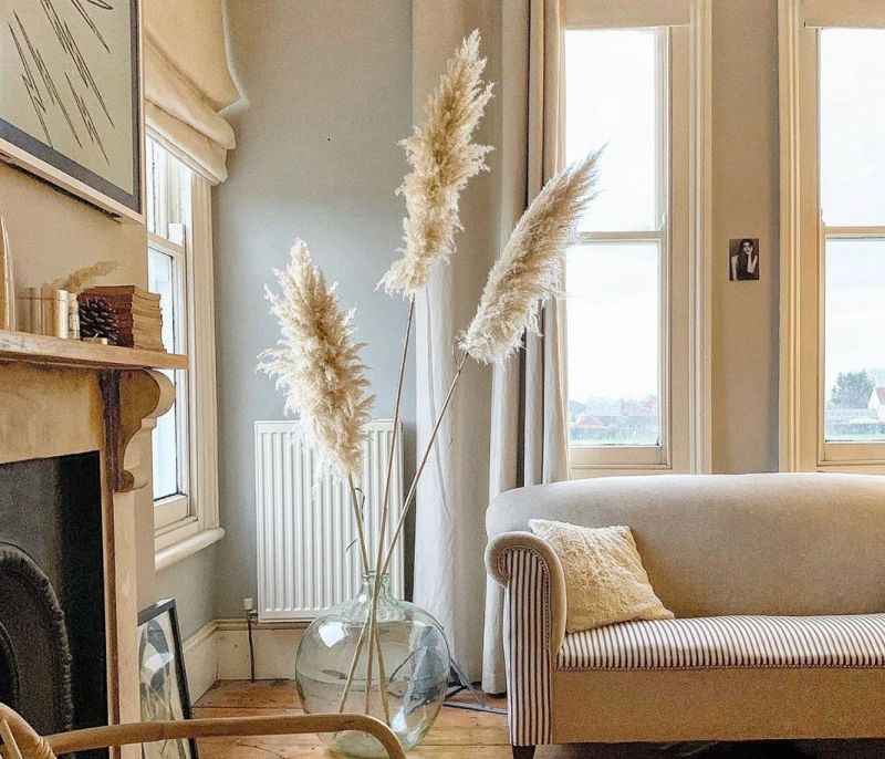 Το Pampas Grass είναι το νέο deco trend στα social media
