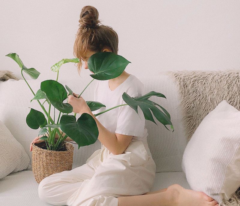 4 tips για να αναγεννήσεις τα φυτά σου μετά από έναν δύσκολο χειμώνα