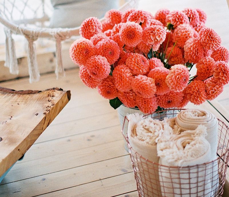 Flower lover! 12 ξεχωριστά λουλούδια που αντέχουν για μέρες μέσα σε βάζο με νερό
